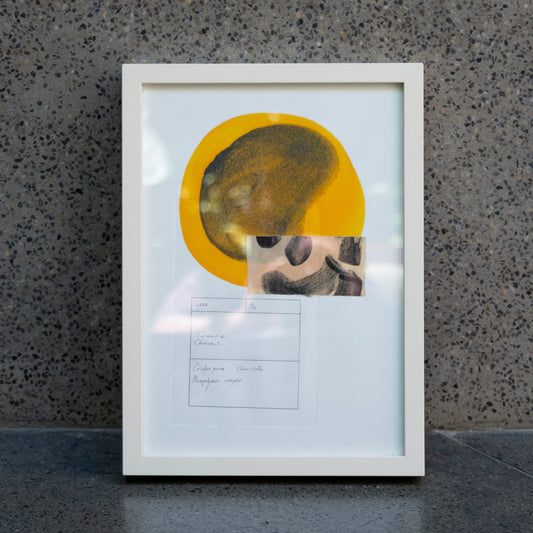 Natural Print Turmeric Charcoal