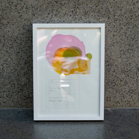 Natural Print Turmeric, Dragon Fruit, Daluman