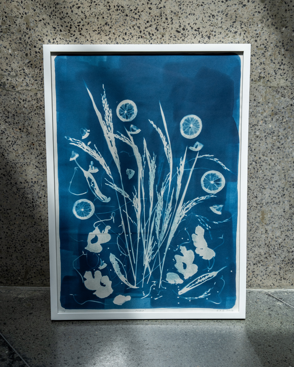 feast cyanotype